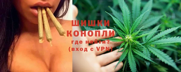 МДПВ Костерёво