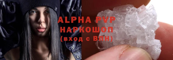 PSILOCYBIN Корсаков