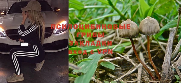 МДПВ Костерёво