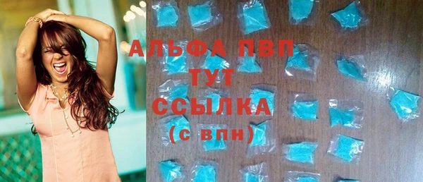 PSILOCYBIN Корсаков