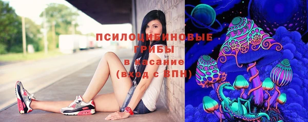 каннабис Коряжма