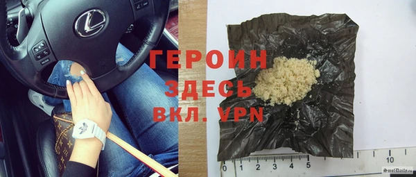 PSILOCYBIN Корсаков