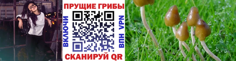 Галлюциногенные грибы мухоморы Александровск