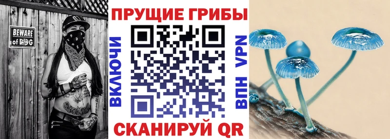 Псилоцибиновые грибы мухоморы  Купить закладки  Александровск 